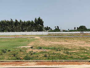 WhatsApp Image 2025-06-05 at 16.58_edited.jpg