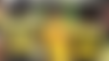 Photo by Dylan Davies/Maryland Terrapins