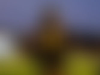 TE Damon Hall becomes 17th signature for Maryland football during early signing period