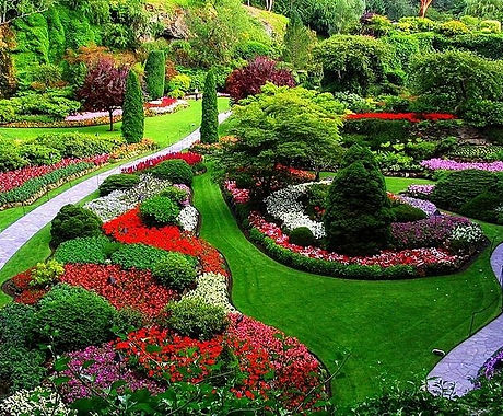 jardin_paisajismo_forestal_tec.jpg