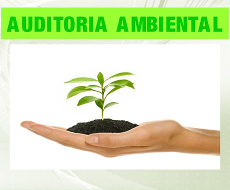 5-auditoria-ambiental-1-638.jpg