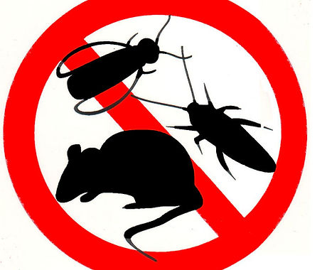 plagues-plagas-2.jpg