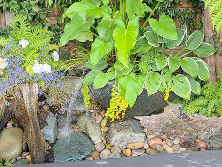 Custom Water Feature for a Small Garden Corner in Hanwell, London