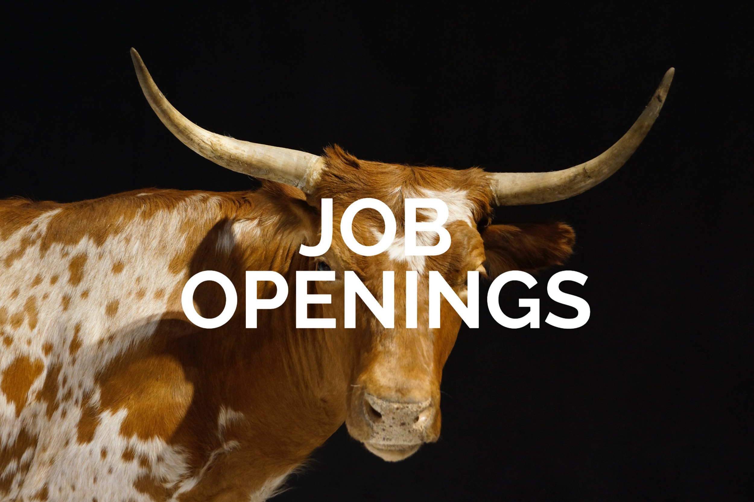 Jobs Job Opportunities Longhorn IFT