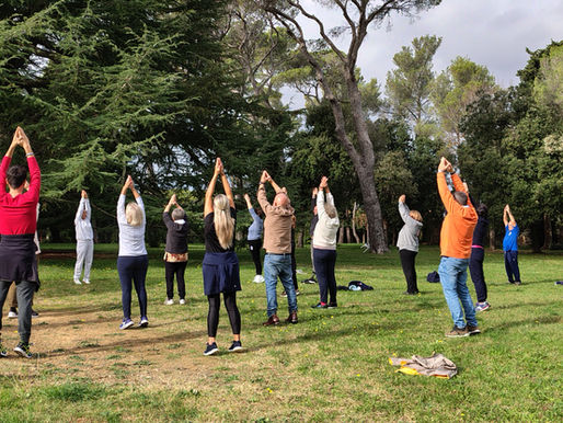 Tai Chi: l’arte lenta che rigenera corpo, mente e cervello