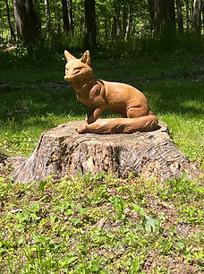 brown fox .jpg