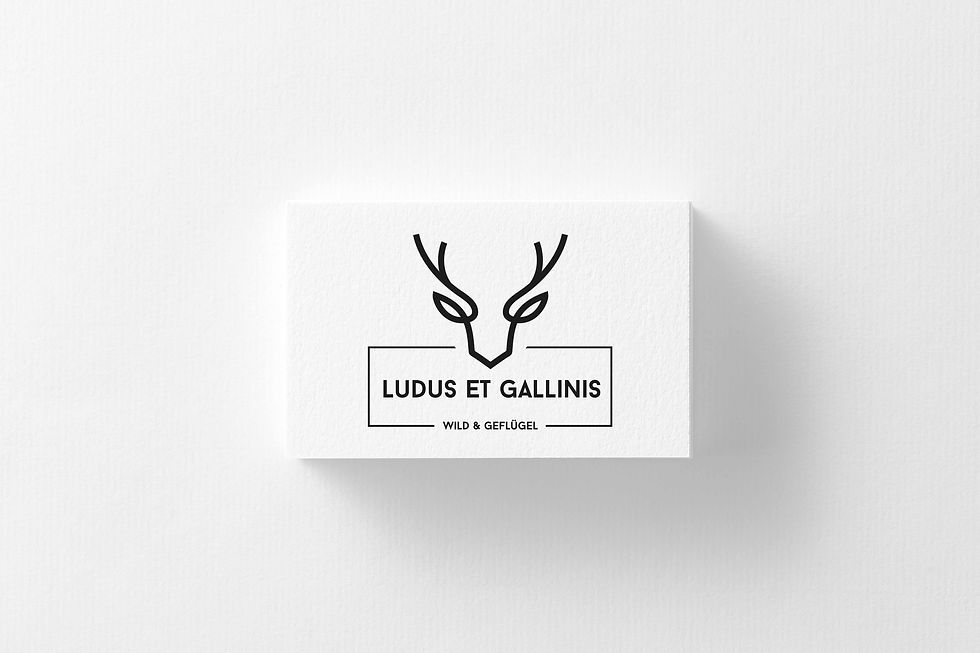 Logo Design Ludus Et Gallinis