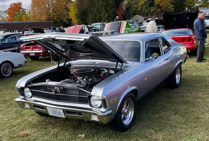 Dave's Nova.webp