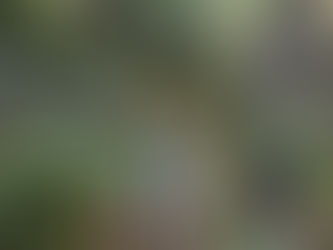 La Importancia de Saber Respirar: Un Viaje hacia la Conexión Espiritual