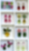 Untitled design (6).png