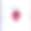 Thumbnail: 4.52 Carats Rubellite Tourmaline Oval Cut Stone For Jewelry Natural Gemstone