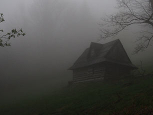 abandoned cabin on foggy hillside in forest