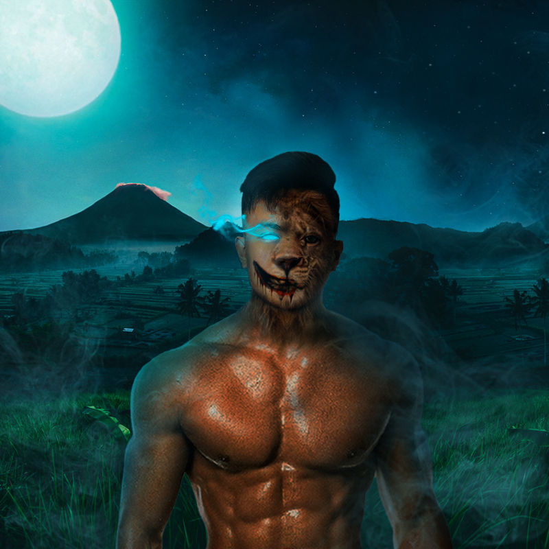 Manipulation - Final