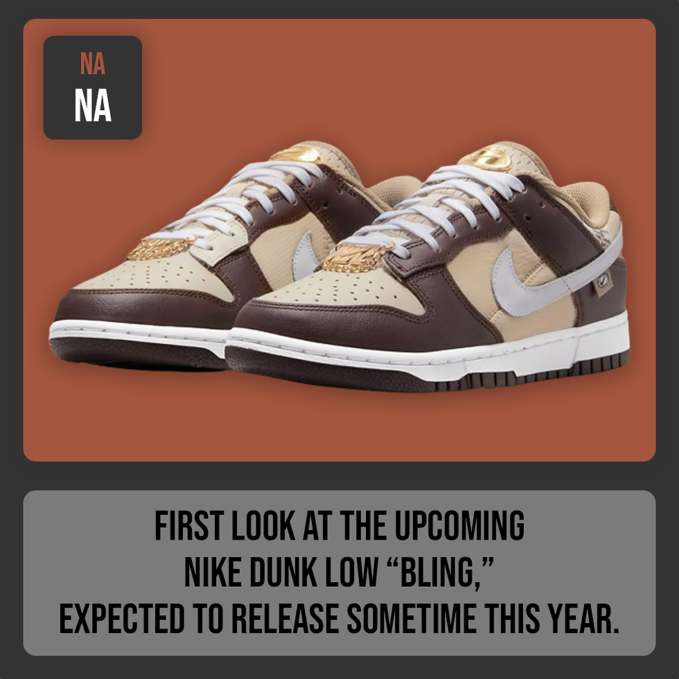 Announcement Nike Dunk Low Bling