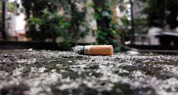 Cómo-afecta-el-consumo-de-tabaco-al-ambiente.jpg