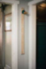 Thumbnail: full size measuring duck head