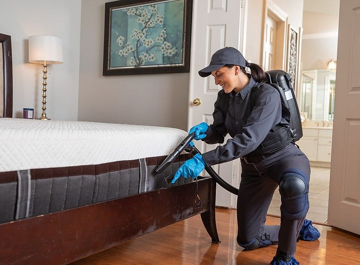 bedbug control service, Hollywood Florida