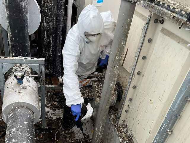 Pigeon fecal matter clean up, Hollywood, Florida