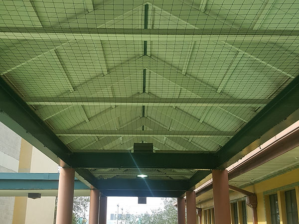 Bird exclusion service, Miami, Florida