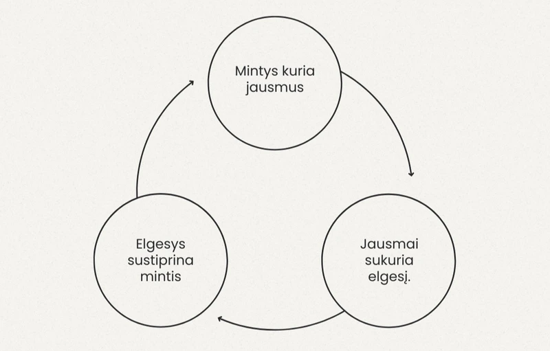 Automatine mintys. Minciu keitimas