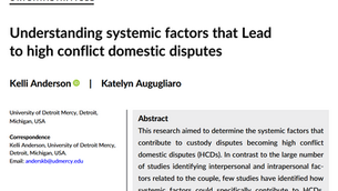 Kodėl skyrybos virsta karu? Keturios netikėtos priežastys, slypinčios ne tėvų charakteriuose, o sistemoje.