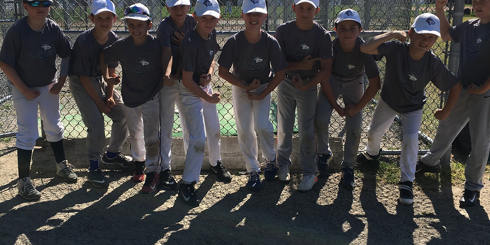Wolfpack Baseball December Clinic