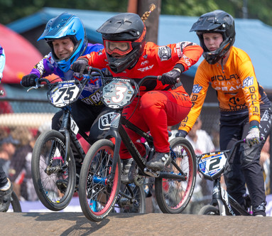 Powerlite bmx sales