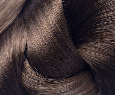 cheveux bruns