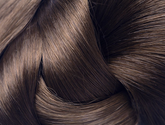 Brown Hair Close-Up
