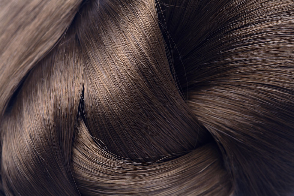 Brown Hair Close-Up