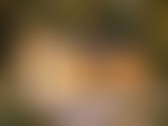 Benefits of a Granny Flat in Ireland