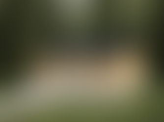 one bedroom cabin back garden cabin planning permission updates