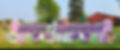 Screenshot_20240209_125614_Facebook~2.jpg