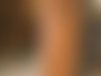 真映社、改装してます②