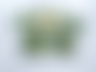 Elevate Your Home Decor with Handmade Resin Coaster Sets Infused with Nature