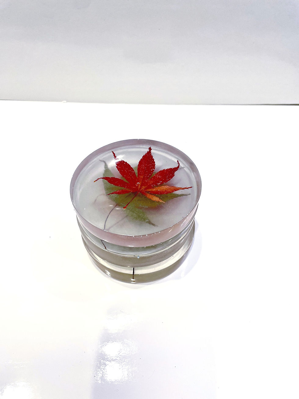 Thumbnail: Large Coaster sets of 4 | Seashells | Japanese Maple | Seaweed Hearts| Seaglass 