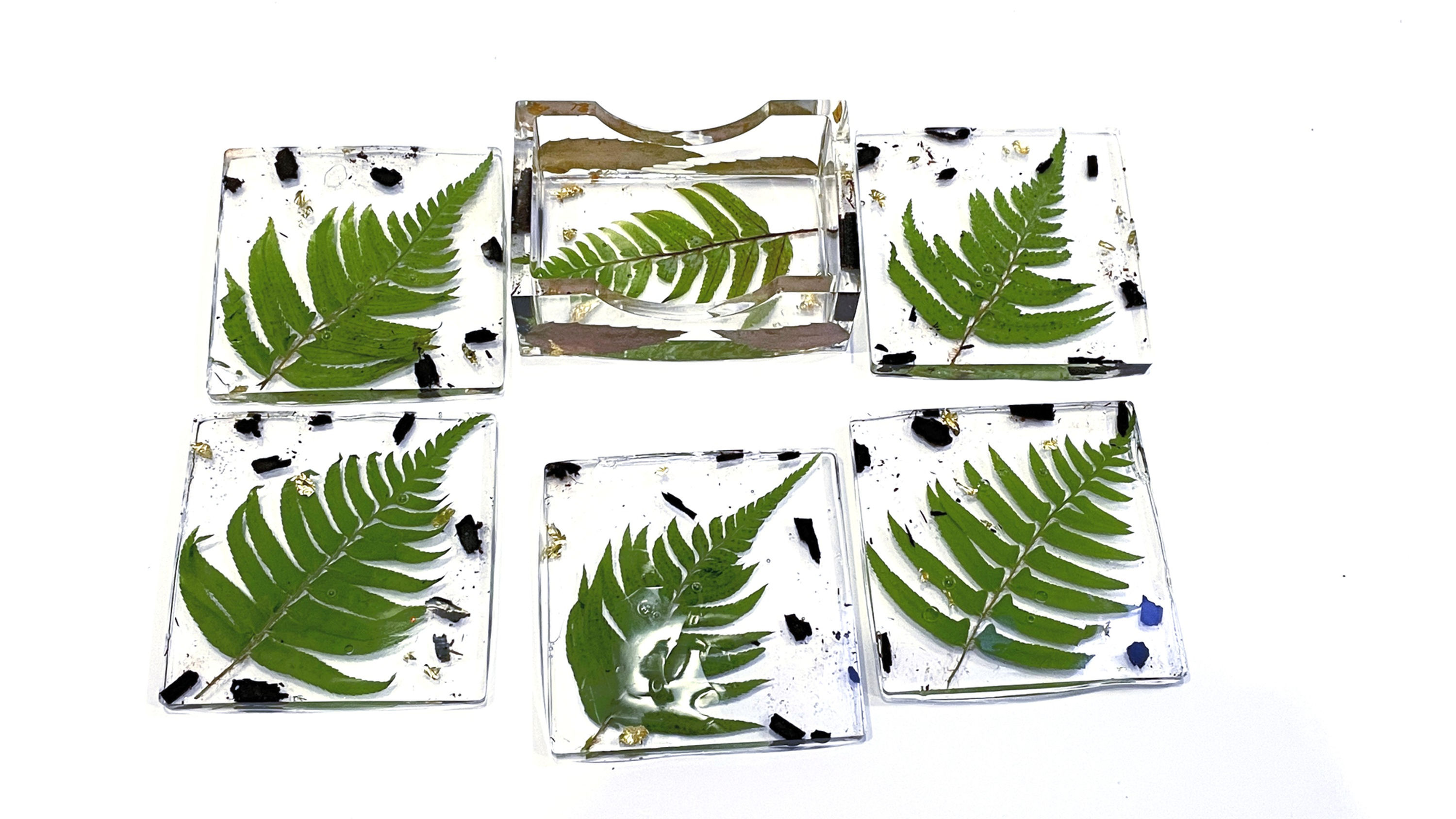 Vancouver Island Ferns Coaster Set of 4 with Holder