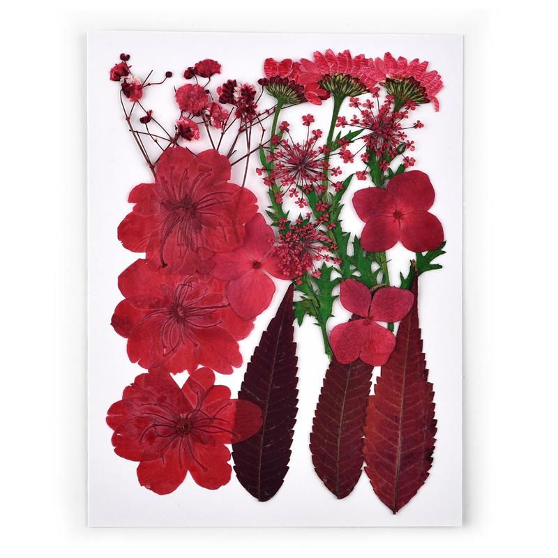 Thumbnail: 1 Bag Dried Pressed Flowers UV Epoxy Resin Green Plant Leaves for Resin Crafts