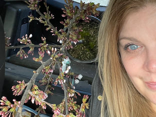 The Benefits of Bringing Nature into Your Home