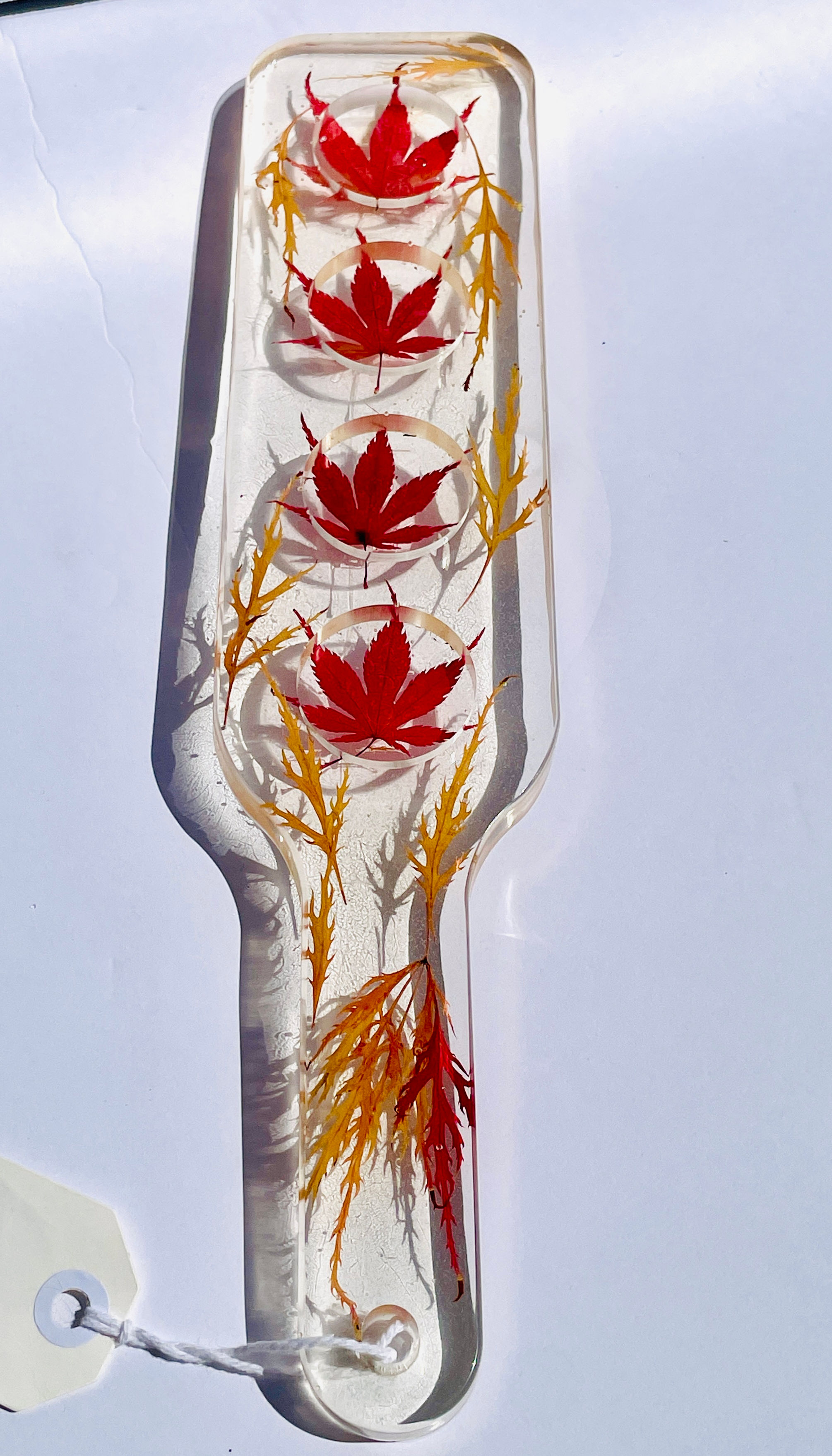 Fall colours red and orange japanese maples shot glass tray