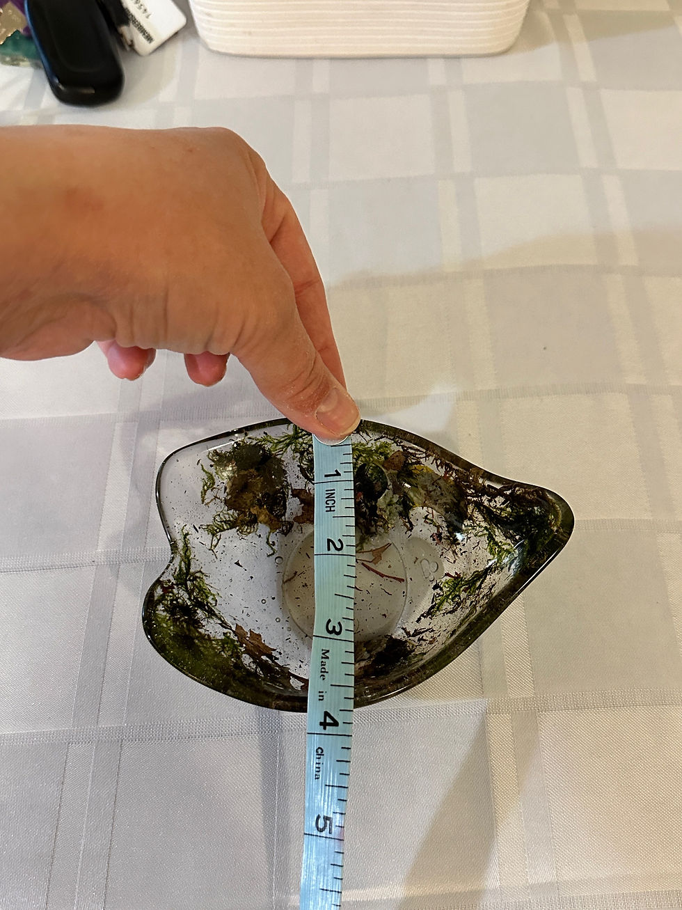 Thumbnail: camo trinket tray