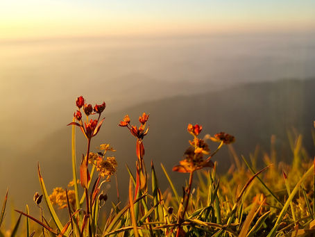 Freier Fall - Ich, Du, Wir!