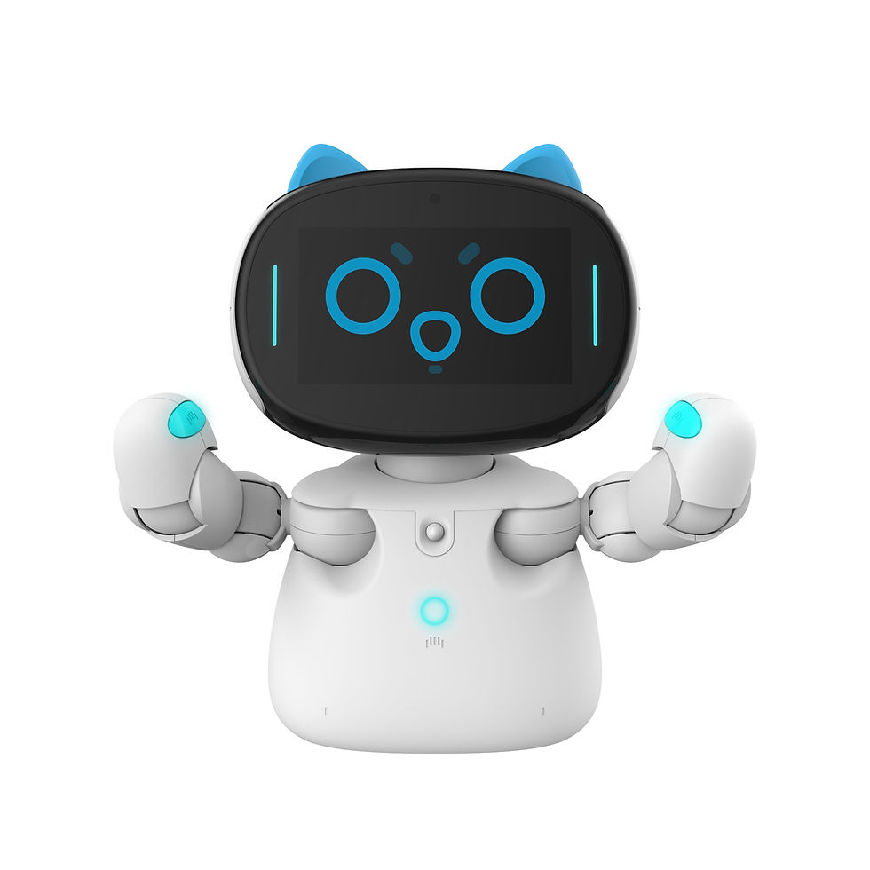 الصورة المصغرة: Nuwa Educational Kebbi Education Robot