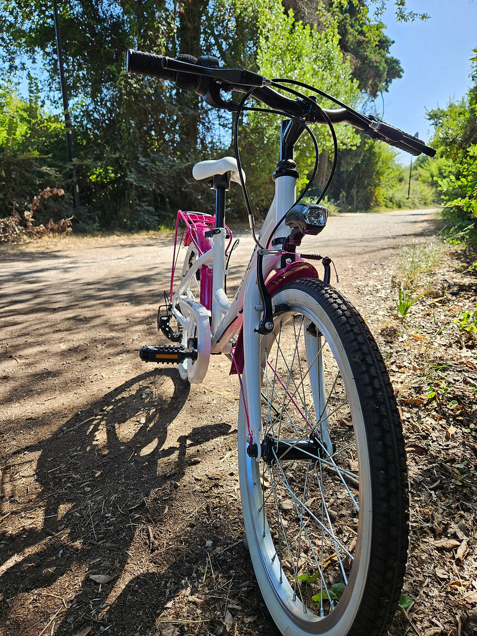 Miniatura: bici da bambina 20 " economica