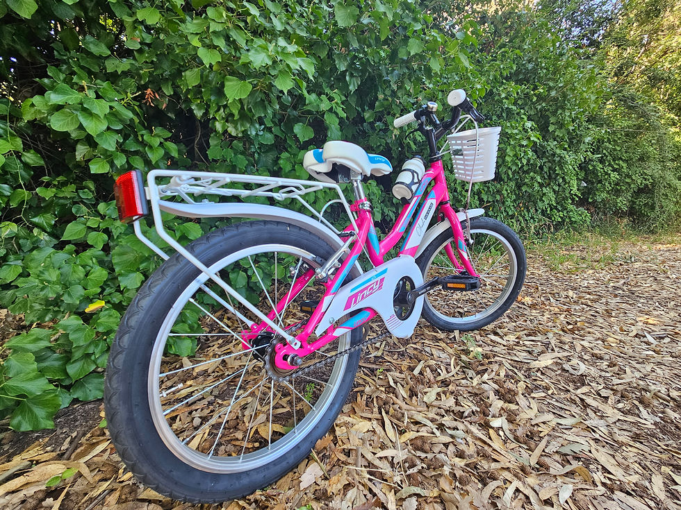 Miniatura: bicicletta bambini 18"  economica
