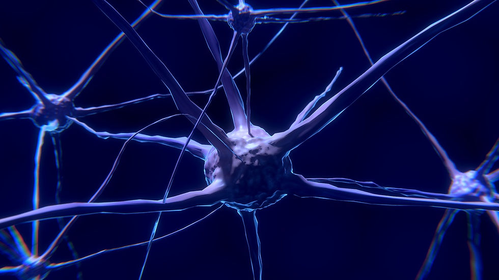 Nerve repair and regeneration