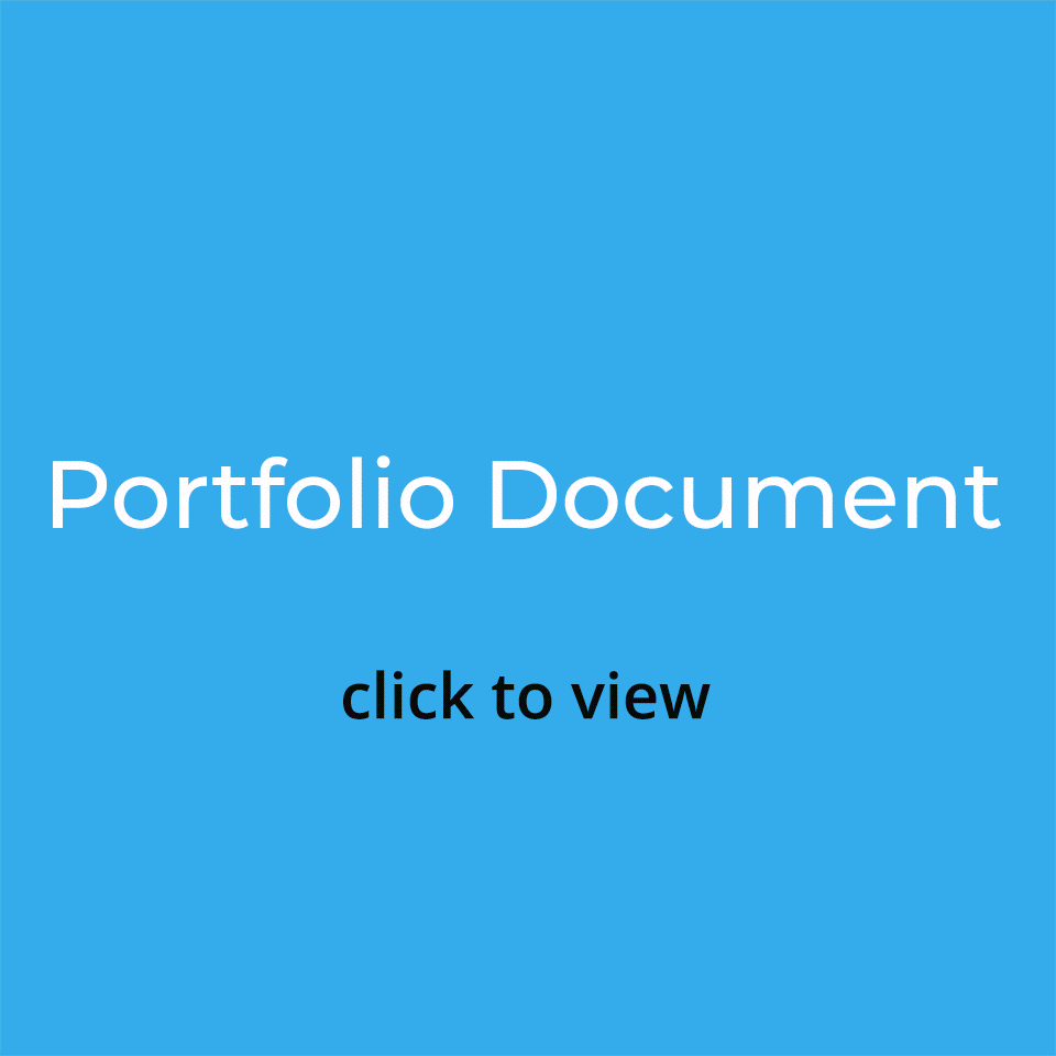 Steve Choi Portfolio