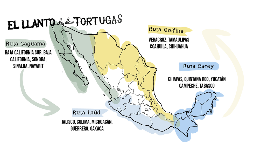 Mapa tortuguero.png