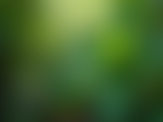 Elevate Your Spirit: The Power of Sacred Plants