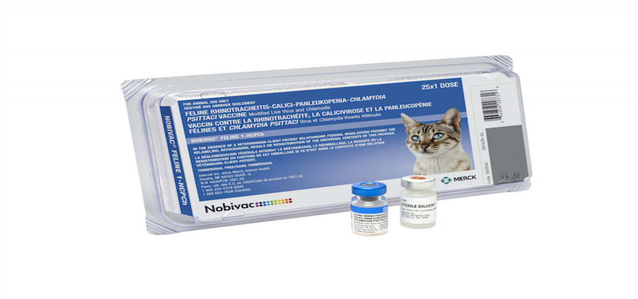 NOBIVAC Feline 1-HCPCh 1 dose